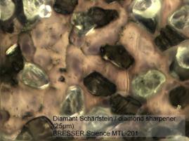 Bresser Science MTL 201 50-800x